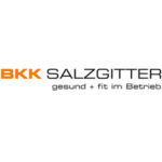 BKKSalzgitter