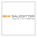 Partnerkassen Logos mit Rahmen Salzgitter