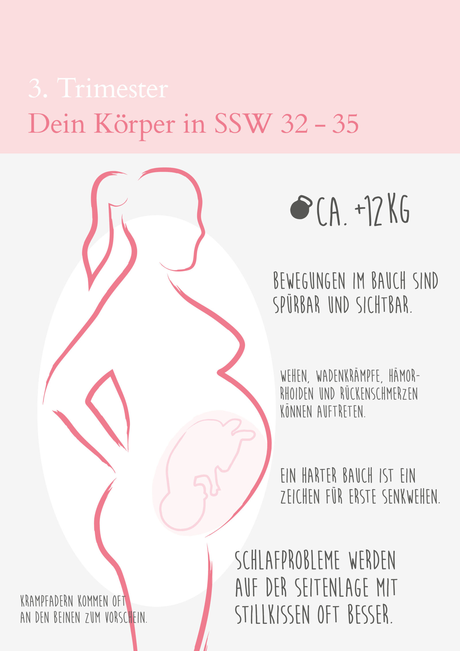 Schwangerschaftswoche 33
